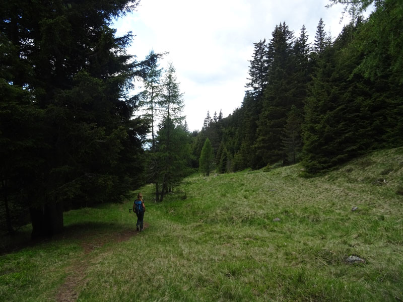 Catena dei Lagorai...da Pergine al Passo del Manghen